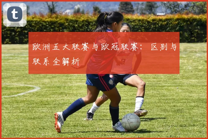 欧洲五大联赛与欧冠联赛：区别与联系全解析