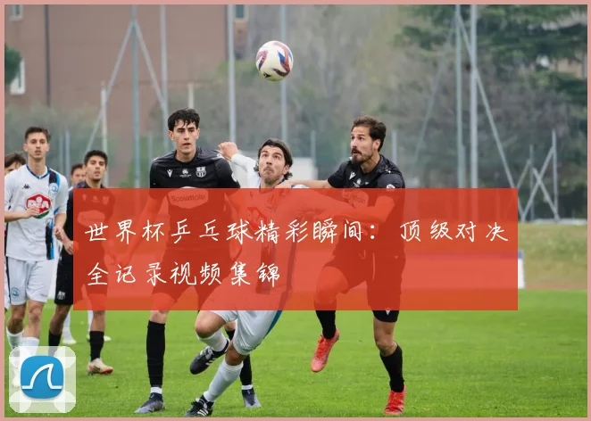 世界杯乒乓球精彩瞬间：顶级对决全记录视频集锦